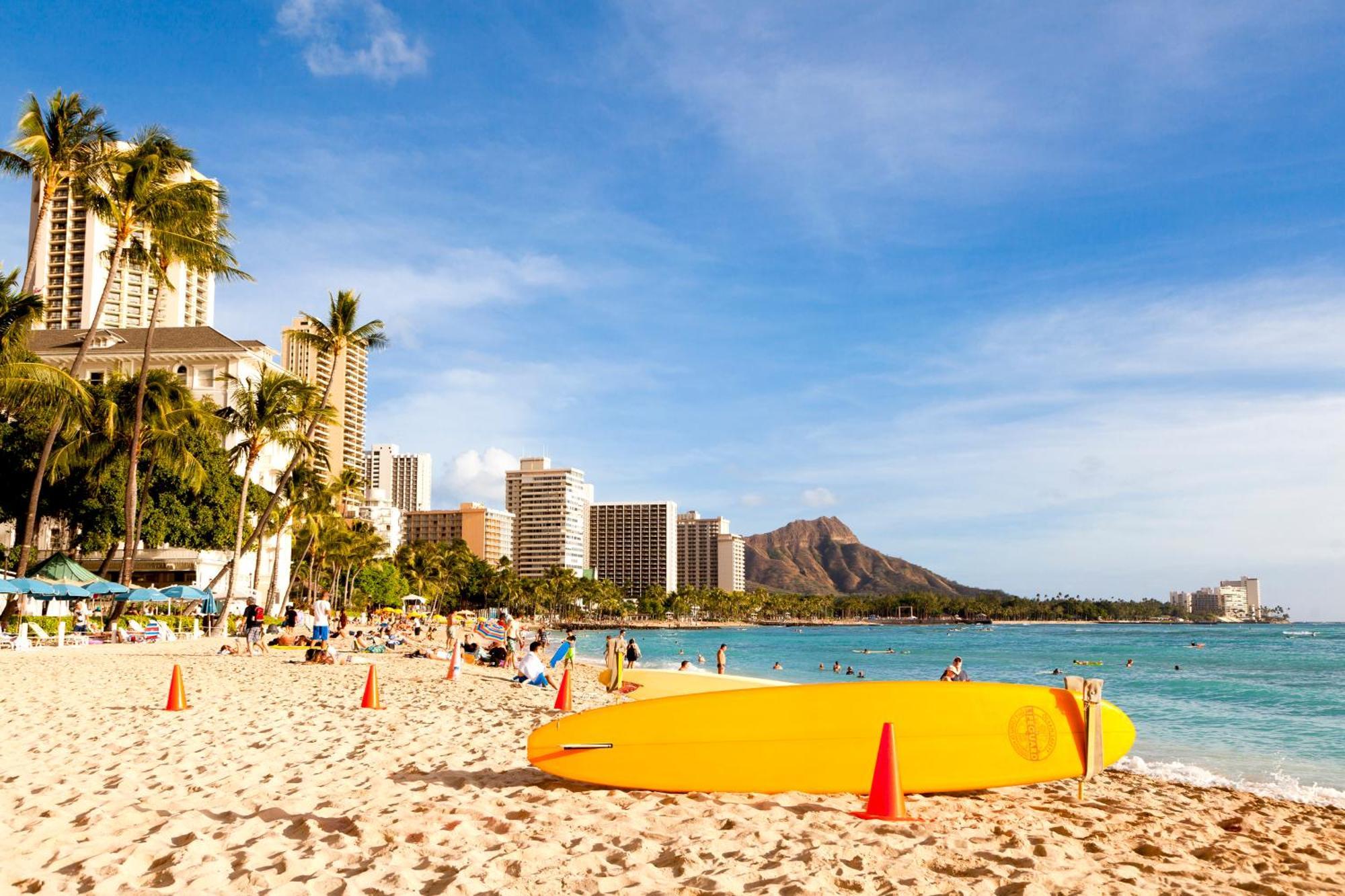 Beautiful Studio In The Heart Of Vibrant Waikiki Honolulu Eksteriør billede