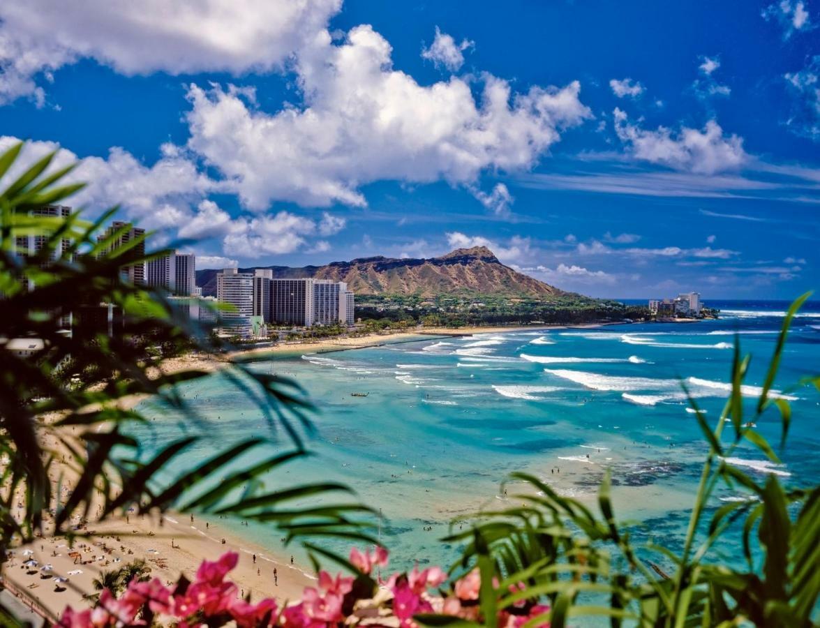 Beautiful Studio In The Heart Of Vibrant Waikiki Honolulu Eksteriør billede